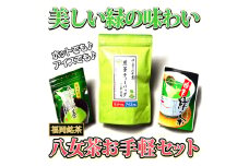 福岡銘茶八女茶 急須要らずのお手軽セット(便利なチャック付) 吉富町/株式会社マル五 [BGAC045] お茶 八女