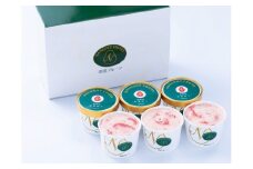 福岡産 あまおうジェラート100ml×6個 吉富町/南国フルーツ株式会社 [BGAG007] じぇらーと アイスクリーム アイス ジェラート スイーツ おやつ 人気