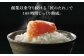 明太子 めんたいこ やまや 博多 本場