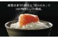 贈答 辛子明太子 めんたいこ やまや 