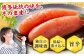 めんたいこ めんたい 博多 無着色