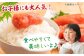 めんたいこ めんたい 博多 無着色