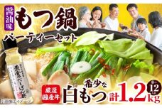 【厳選国産牛使用】博多もつ鍋 醤油味パーティーセット(8〜12人前) 吉富町/博多の味本舗 [BGAI027] もつ鍋 もつなべ モツ鍋 ぽん酢 国産 醤油 福岡県