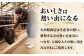 サーロイン 和牛 牛肉
