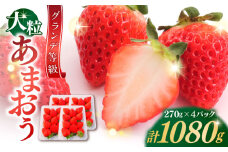 【2026年1月中旬より順次発送】 あまおう いちご 1080g (約270g×4パック) 吉富町/株式会社HSP-テクノ [BGBQ001]