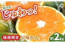 【9月中旬より順次発送】【福岡限定】オリジナルブランド「早味かん」約2kg 吉富町/南国フルーツ株式会社 [BGAG013] 福岡県
