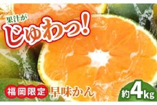 【9月中旬より順次発送】【福岡限定】オリジナルブランド「早味かん」約4kg 吉富町/南国フルーツ株式会社 [BGAG014]