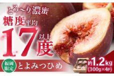 【2025年8月上旬より順次発送】福岡産ブランド無花果 とよみつひめ 約300g×4パック 吉富町/南国フルーツ株式会社 [BGAG012]