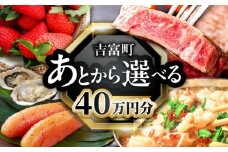 【あとから選べる】吉富町ふるさとギフト 40万円分 [BGZZ009]