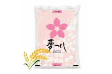 【先行予約】【令和7年産】福岡県産ブランド米「夢つくし」白米 5kg 吉富町/株式会社ゼロプラス [BGAA084]