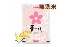 【先行予約】【令和7年産】福岡県産ブランド米「夢つくし」無洗米 5kg 吉富町/株式会社ゼロプラス [BGAA085]