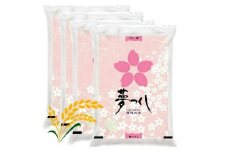 【先行予約】【令和7年産】福岡県産ブランド米「夢つくし」白米 計20kg 吉富町/株式会社ゼロプラス [BGAA088]