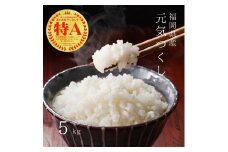 【先行予約】【令和7年産】福岡県産ブランド米「元気つくし」白米5kg 吉富町/株式会社ゼロプラス [BGAA090]