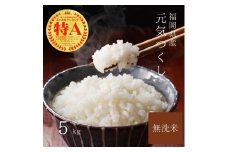 【先行予約】【令和7年産】福岡県産ブランド米「元気つくし」無洗米5kg 吉富町/株式会社ゼロプラス [BGAA091]