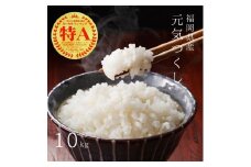 【先行予約】【令和7年産】福岡県産ブランド米「元気つくし」白米10kg(5kg×2袋) 吉富町/株式会社ゼロプラス [BGAA092]