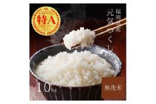【先行予約】【令和7年産】福岡県産ブランド米「元気つくし」無洗米10kg(5kg×2袋) 吉富町/株式会社ゼロプラス [BGAA093]