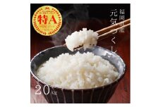 【先行予約】【令和7年産】福岡県産ブランド米「元気つくし」白米20kg(5kg×4袋) 吉富町/株式会社ゼロプラス [BGAA094]