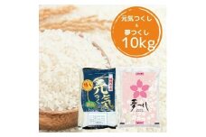 【先行予約】【令和7年産】福岡県産米食べ比べ【白米】「夢つくし」と「元気つくし」セット計10kg 吉富町/株式会社ゼロプラス [BGAA096]
