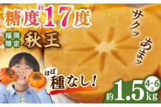 【2025年10月中旬より順次発送】福岡産ブランド 秋王柿 約1.5kg(4-6玉) 吉富町/南国フルーツ株式会社 [BGAG015]