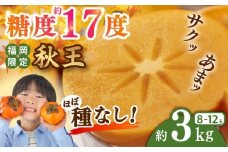 【2025年10月中旬より順次発送】福岡産ブランド 秋王柿 約3kg(8-12玉) 吉富町/南国フルーツ株式会社 [BGAG016]