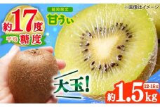 【2025年10月下旬より順次発送】福岡産ブランドキウイ「甘うぃ」約1.5kg(12-15玉) 吉富町/南国フルーツ株式会社 [BGAG017]
