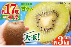 【2025年10月下旬より順次発送】福岡産ブランドキウイ「甘うぃ」約3kg(24-30玉) 吉富町/南国フルーツ株式会社 [BGAG018] 福岡県