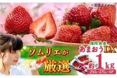 【2026年2月上旬より順次発送】フルーツソムリエが選んだ【春】あまおうDX(デラックス)4パック 吉富町/南国フルーツ株式会社 [BGAG019]