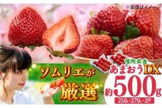 【2025年12月上旬より順次発送】フルーツソムリエが選んだ【冬】あまおうDX(デラックス)2パック 吉富町/南国フルーツ株式会社 [BGAG020] 福岡県