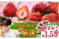 【2026年2月上旬より順次発送】福岡産【春】 あまおう 6パック 吉富町/南国フルーツ株式会社 [BGAG026]