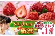 【2025年12月上旬より順次発送】福岡産【冬】 あまおう 4パック 吉富町/南国フルーツ株式会社 [BGAG027]