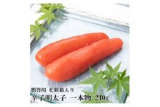 【化粧箱入】辛子明太子 一本物 240g 吉富町/株式会社博多漁師の里 [BGAE001]