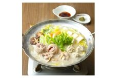 上田商店 ありた鶏 水炊き 5-6人前 追い地どりセット 吉富町/株式会社吉浦コーポレーション [BGAD067]