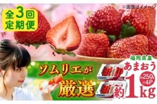 【全3回定期便】福岡産 冬あまおう 250g×4P 吉富町/南国フルーツ株式会社 [BGAG042] 果物 フルーツ デザート いちご イチゴ 苺 あまおう 人気 美味しい ふるさと納税