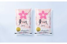 【令和6年産】果物屋さんが選んだ米 夢つくし 10kg 吉富町/南国フルーツ株式会社 [BGAG023] 精米 新米 ゆめつくし 白米 米 お米 精米 おこめ こめ コメ ごはん ご飯 九州 福岡県 送料無料 ふるさと納税