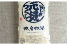 【令和6年産】果物屋さんが選んだ米 元気つくし 5kg 吉富町/南国フルーツ株式会社 [BGAG024] 精米 新米 げんきつくし 白米 米 お米 精米 おこめ こめ コメ ごはん ご飯 九州 福岡県 送料無料 ふるさと納税