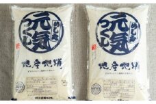 【令和6年産】果物屋さんが選んだ米 元気つくし 10kg 吉富町/南国フルーツ株式会社 [BGAG025] 精米 新米 げんきつくし 白米 米 お米 精米 おこめ こめ コメ ごはん ご飯 九州 福岡県 送料無料 ふるさと納税