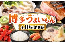 【全10回定期便】博多うまいもん定期便 寄附額 20万円 [BGZZ017]