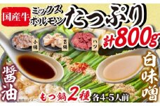 「上田商店」工場直販 もつ鍋(醤油・白味噌/各4-5人前) 吉富町/株式会社吉浦コーポレーション [BGAD058]