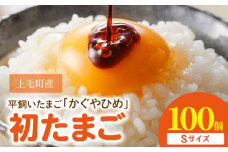 かぐやひめ「初たまご」100個 【福岡上毛町産】　C00901