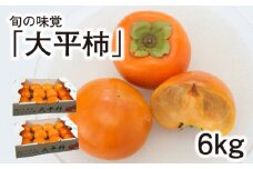 旬の味覚「大平柿」6kg 　T03401