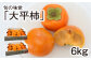 大平柿（富有柿）