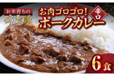 【ブランド豚肉】お米育ちの錦雲豚　お肉ゴロゴロ！ポークカレー（辛口）6食　FN1102
