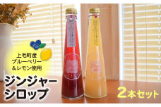 【上毛町産ブルーベリー＆レモン使用】ジンジャーシロップ 2本セット　KT0302