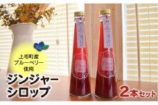 【上毛町産ブルーベリー使用】ジンジャーシロップ  2本セット　KT0502