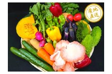 【大平樂厳選】旬の野菜詰め合わせ 10種程度　T04102