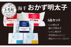 海千　明太子屋がこだわった　おかず明太子5品セット　TKS0602
