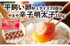 平飼い卵Ｍ～Ｌサイズ20個 ＆やまや辛子明太子150ｇセット【上毛町特別企画】C01202
