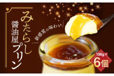 みたらし醤油屋プリン 100g×6個　TN0803