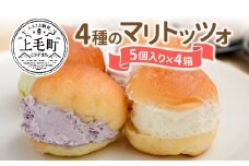 4種のマリトッツォ5個入り×4箱 MP0403