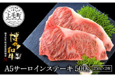 博多和牛A5サーロインステーキ【厳選部位】500g（250g×2枚）KMP0203